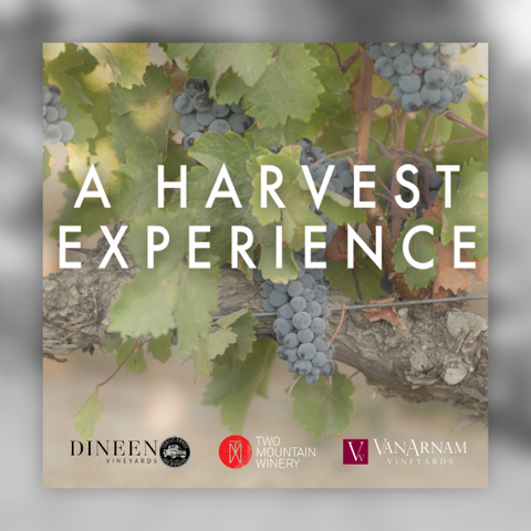 Product Image for Harvest Experience - The Art and Science of Making Wine