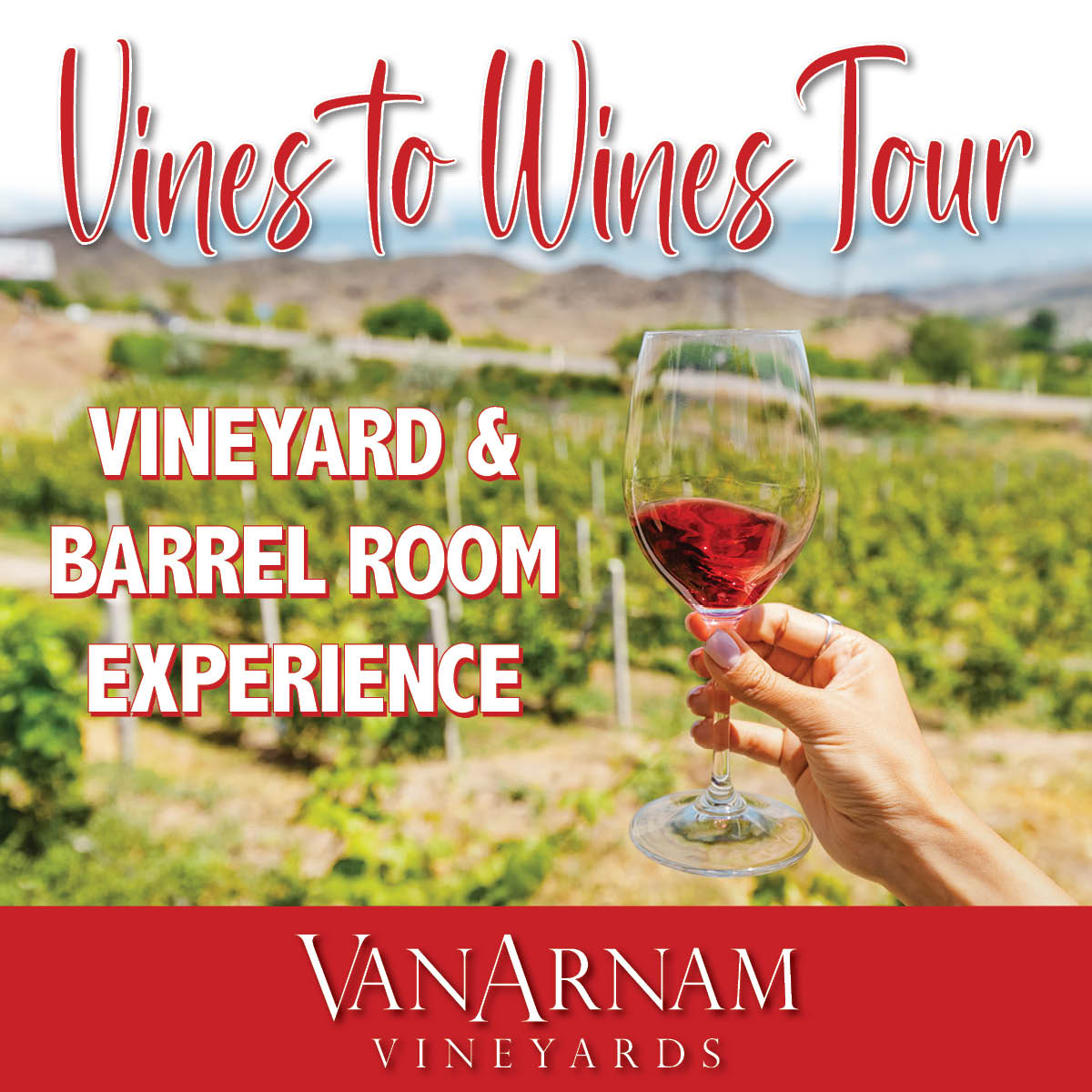Product Image for Vines to Wines Tour - Sunday, June 19th 1:00 PM